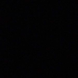 Meet your Posher, Dawson